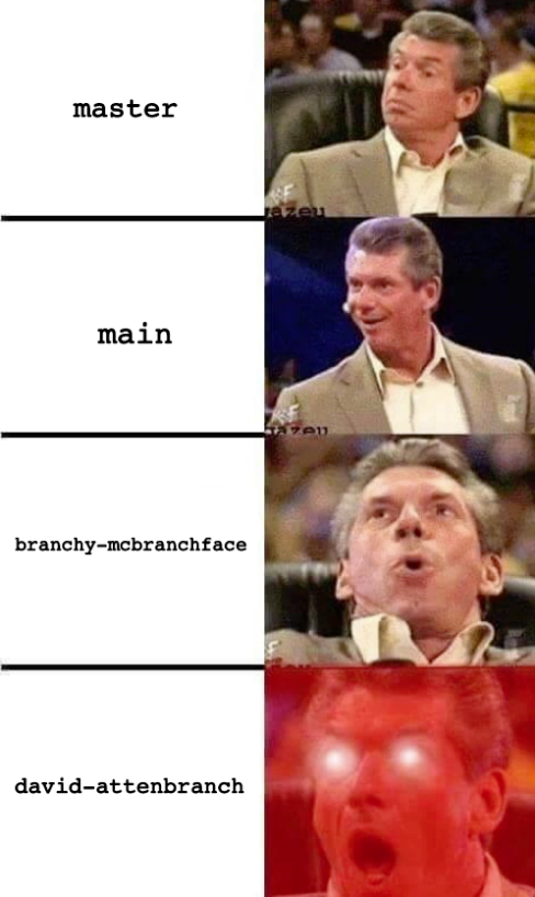 branch naming strategy meme